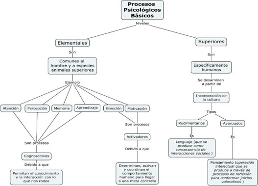 Mapa conceptual sobre los procesos psicológicos básicos y sus niveles.